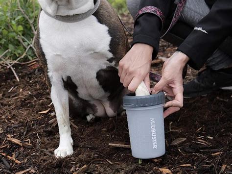 MudBuster Dog Paw Cleaner Only $14.91 Shipped for Prime Members on ...