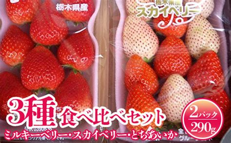 売り切れ いちご 3種食べ比べセット（ミルキーベリー、スカイベリー、とちあいか）【先行予約 数量限定 栃木県 果物 くだもの フルーツ 苺