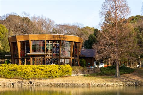 於大公園（1月）愛知県知多郡の観光・撮影スポットの名所 東海カメラマップ