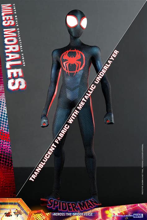 Miles Morales MMS710 Hot Toys Spider Man Accross The Spider Verse