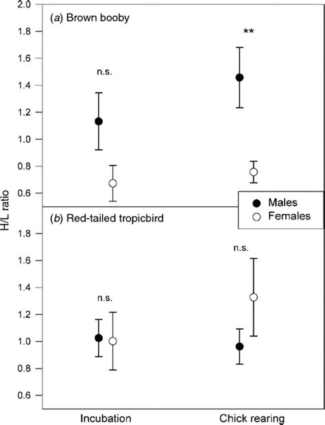 Leucocyte Profiles And Body Condition In Breeding Brown Boobies And Red