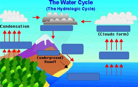 The Water Cycle Diagram Quizlet