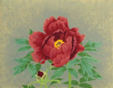 Japanese Peony paintings and prints - Japanese Painting Gallery