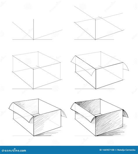 Cómo Extraer Del Boceto Natural De Una Caja Abierta Realista Creación