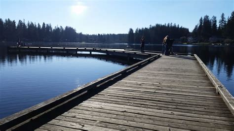 Cottage Lake Park | Year of Seattle Parks