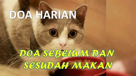 Talking Tom Doa Sebelum Dan Sesudah Makan Kucing Lucu Baca Doa Kucing