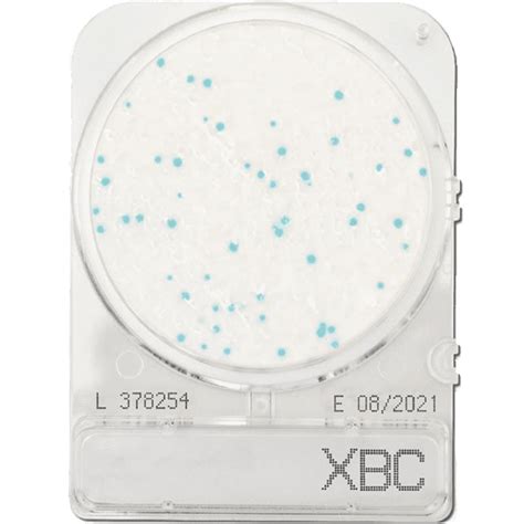 Compact Dry BC Test Af Bacillus Cereus Food Diagnostics