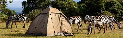 Tanzania Budget Safari Tanzania Safaris Tours Tanzania Tours