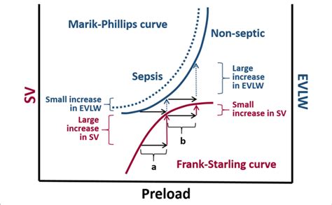 The Marik Phillips Curve And The Frank Starling Curve Correlating Download Scientific Diagram