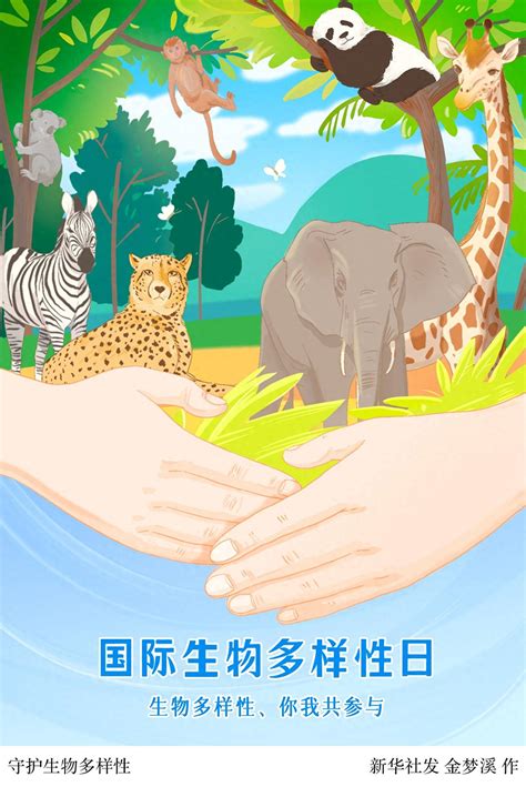 （图表·插画）国际生物多样性日｜守护生物多样性 新华社 主题 北京