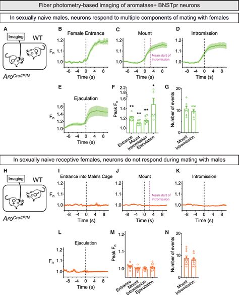 Figure 2 From Limbic Neurons Shape Sex Recognition And Social Behavior In Sexually Naive Males