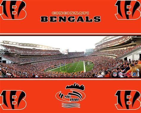 Cincinnati Bengals Wallpapers - Wallpaper Cave