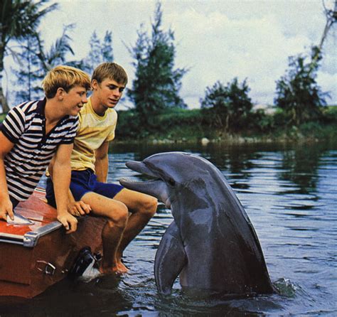 Flipper 1964