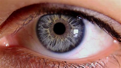 Macro Video of Human Eye & Iris - YouTube