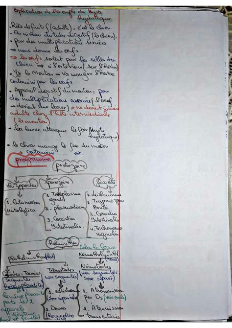 Solution Parasitologie Facile Studypool