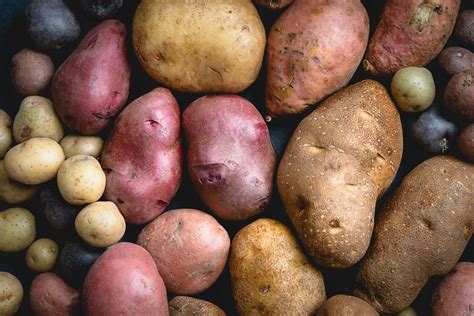 Potato Varieties Busy Cooks