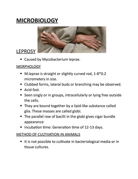 Microbiology Leprosy Microbiology Leprosy Caused By Mycobacterium