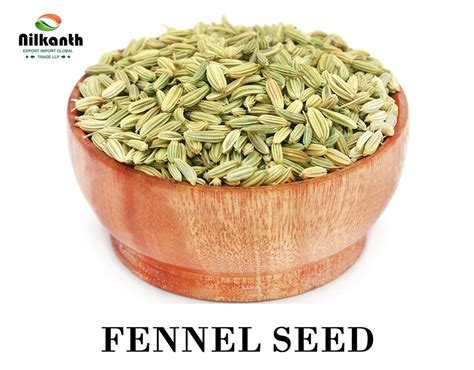 Green Natural Fennel Seeds Packaging Type Loose At Rs Kg In Chikhli