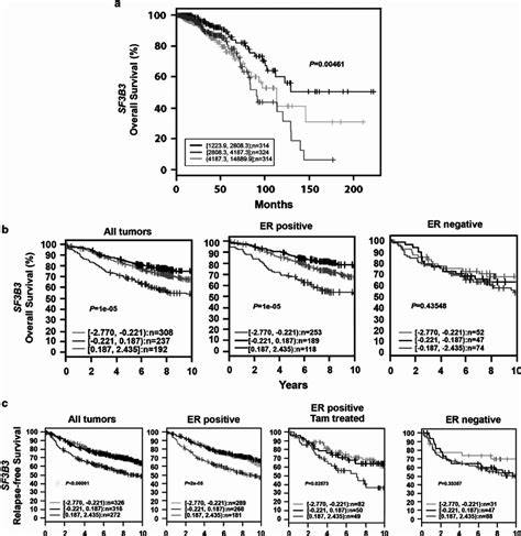 Kaplanmeier Analysis Using The Cancer Genome Atlas Tcga Data Set And