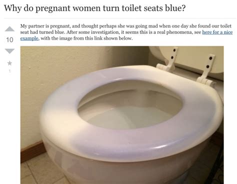 Can You Get Pregnant From Toilet Seat Captions Tempo