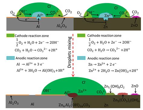 Coatings Free Full Text Microstructure And Corrosion Behavior Of