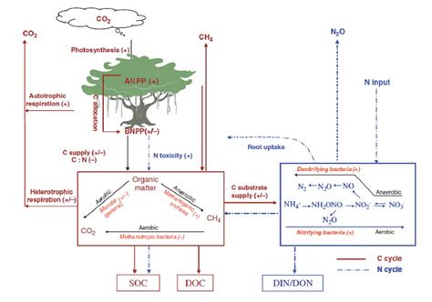 Figure From Effects Of Different Long Term Fertilization Strategies