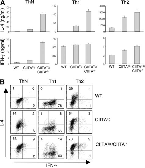 Th1 Cells From T Cd4 T Cells Produce The Th2 Cytokine Il 4 As Well As