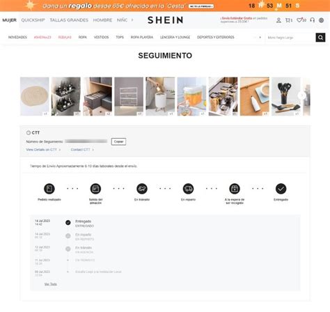 ¿cómo Saber Por Dónde Va Mi Pedido De Shein