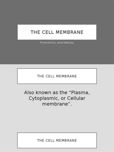 Cell Membrane To Glycocalyx | PDF | Cell Membrane | Cell (Biology)