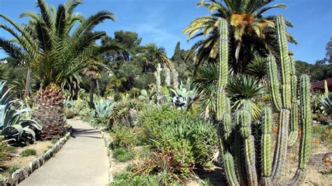 Primera Reuni Per Establir Els Usos Del Paratge Natural De Pinya De