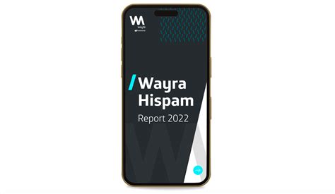 Wayra Hispam Report I Daniela Sanchez I Graphic Design I Visual