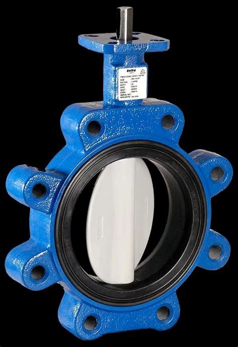 Butterfly Valves Delval At Rs Ss Butterfly Valve In Bharuch