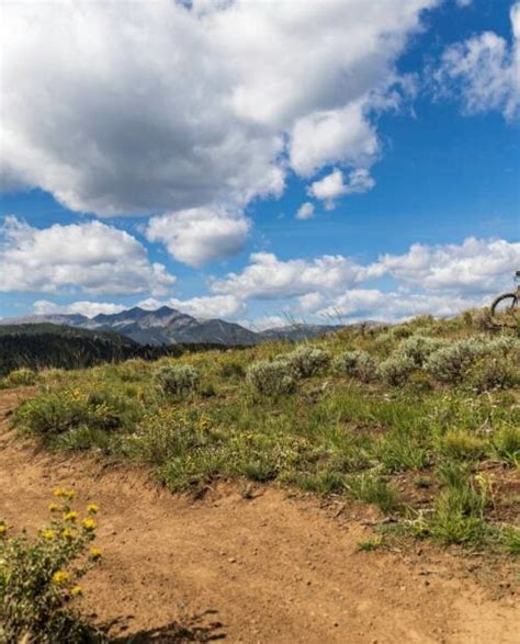 Guided Mountain Biking Tours in Breckenridge, CO | 57hours