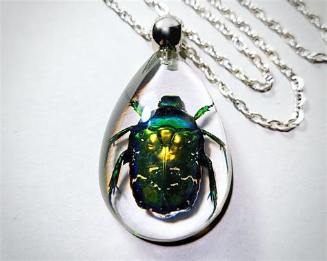 Green Beetle Insect