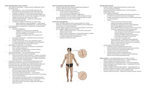 Solution Anatomia Notatki Studypool