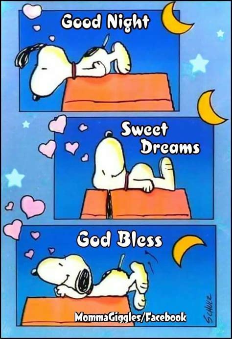 Pin By Diane Reilly On Charlie Brown Snoopy Goodnight Snoopy Snoopy Funny Christmas Pictures