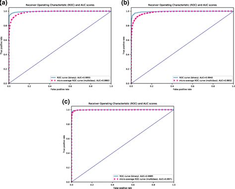 ROC Receiver Operating Characteristic Curves For Binary And