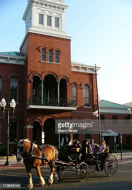 31 History Of Fernandina Island Stock Photos, High-Res Pictures, and ...