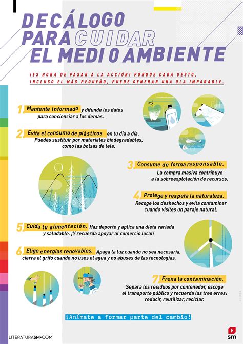 7 Claves Para Cuidar Del Medioambiente