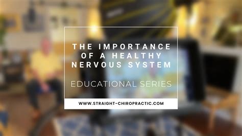 The Importance Of A Healthy Nervous System James P Fiore Dc