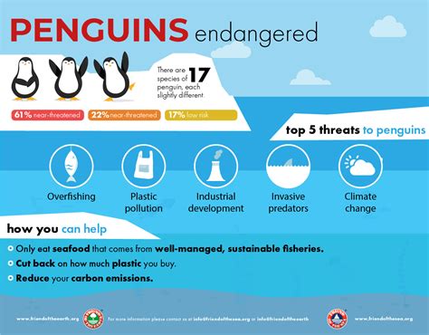 Save The Penguins | Possible Solutions To Save Penguins - FOE