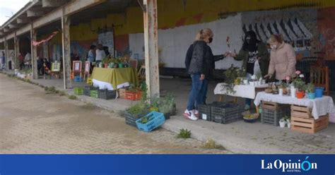 Desde el Municipio confirmaron que están a un paso de llamar a