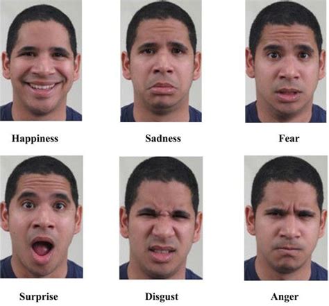 Emotions As Represented By Facial Expressions Download Scientific