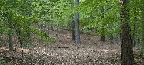 Comprehensive List of Funeral Homes in Rockingham, North Carolina 17