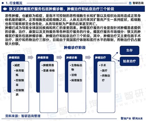 2024 2030年中国肿瘤医疗服务行业市场调查研究及未来趋势预测报告智研咨询