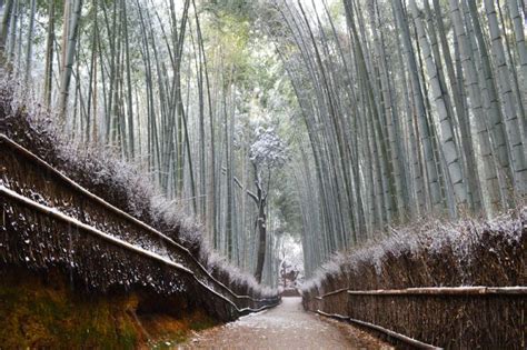 【京都嵐山】冬天更浪漫！下雪穿搭指南＆7大推薦景點全攻略 完美行旅遊情報（wamazing Discover）