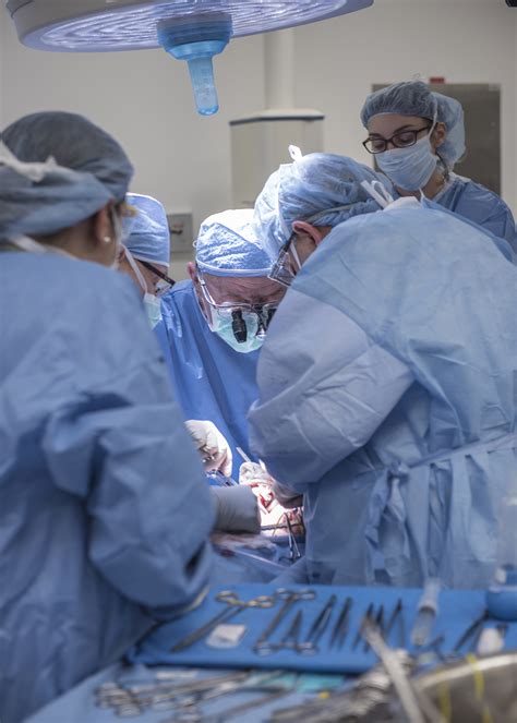 Cleveland Surgeons Perform Nations First Uterus Transplant