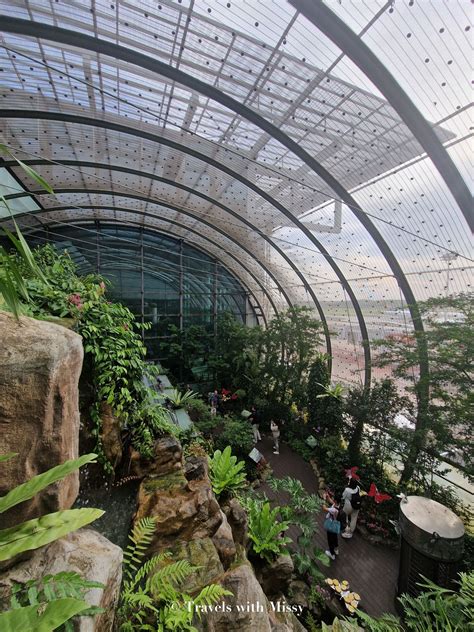 Butterfly Garden Changi Airport: A Breathtaking Oasis in a Bustling Hub ...