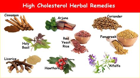 9 High Cholesterol Herbs Reduces Ldl And Increases Hdl Youtube