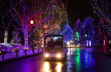 Unwrap the Magic of Wildlights 2023 at the Columbus Zoo and Aquarium ...